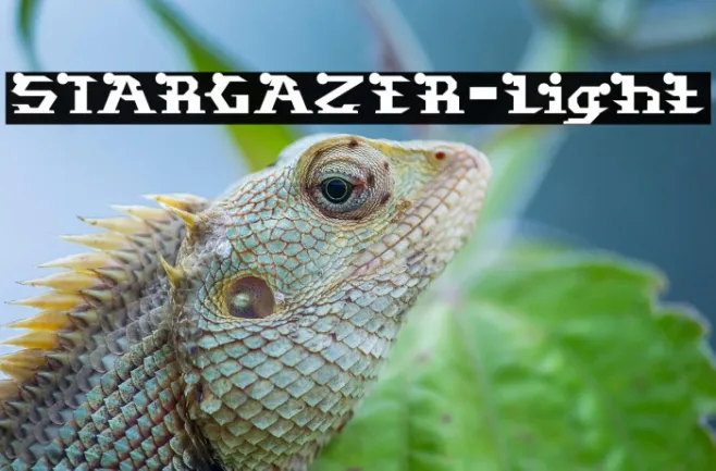 STARGAZER-Light Example 2