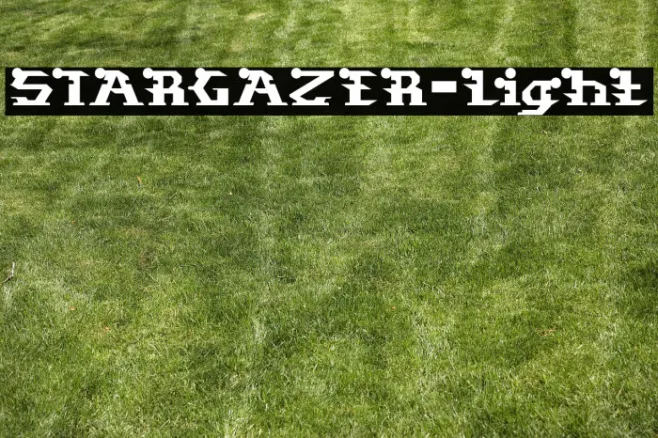 STARGAZER-Light Example 3