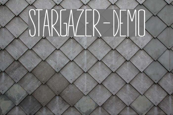 STARGAZER-demo Example 3