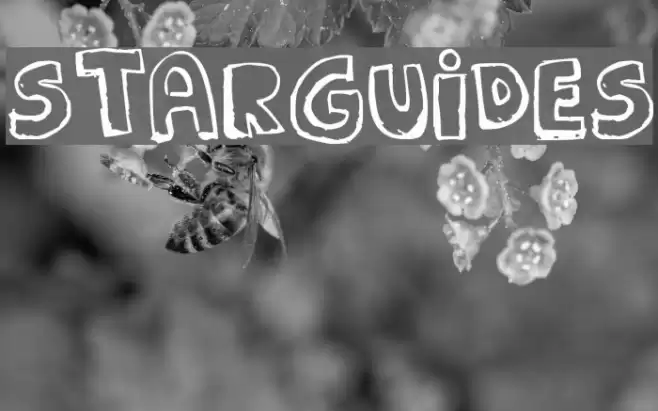 STARGUIDES Font examples