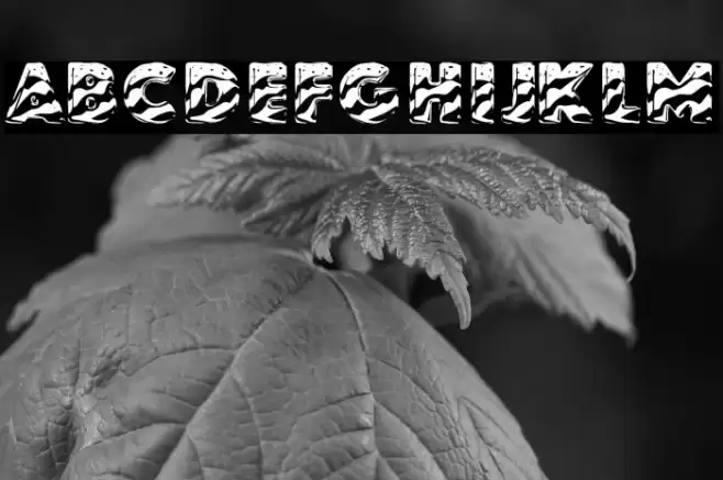 STARSSTRIPESPERSONALUSE-Solid 字体 examples