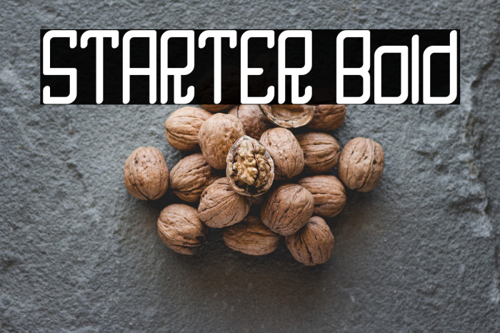 STARTER Bold Example 1