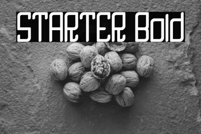 STARTER Bold Font examples