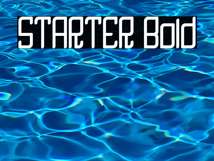 STARTER Bold Example 3