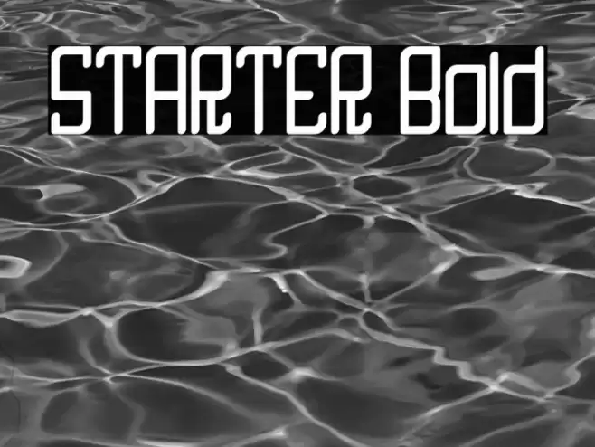 STARTER Bold Font examples