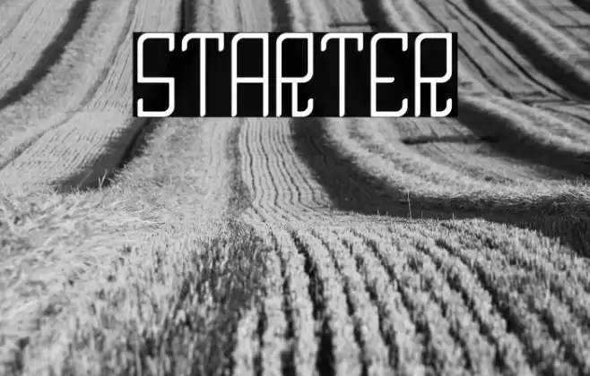 STARTER Font examples