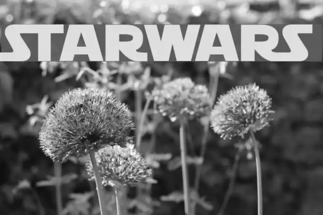 STARWARS Fonte examples