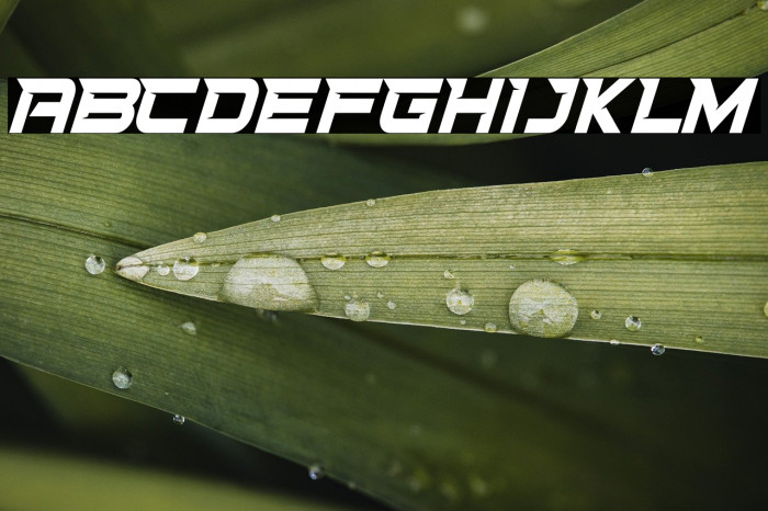 STATIONOFRACEDEMO Example 2