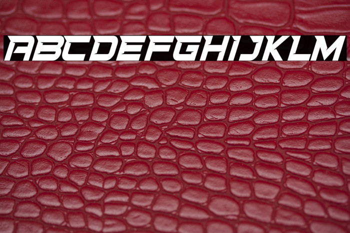 STATIONOFRACEDEMO Example 3