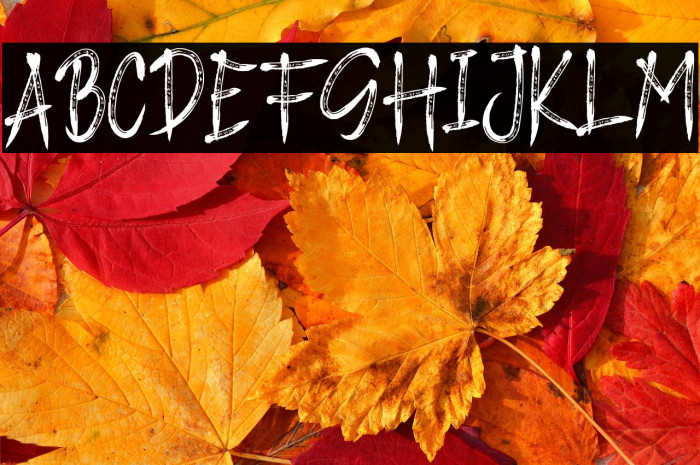 STAY AT HOME Example 2