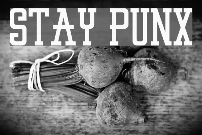 STAY PUNX Font examples