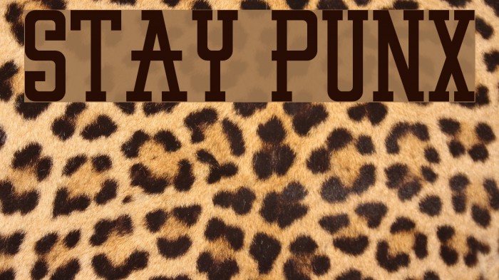 STAY PUNX Font examples