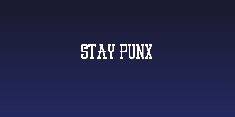 STAY PUNX Social Header