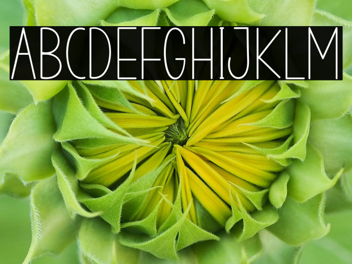 STAYHOMERegular Example 1