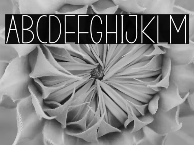 STAYHOMERegular Font examples