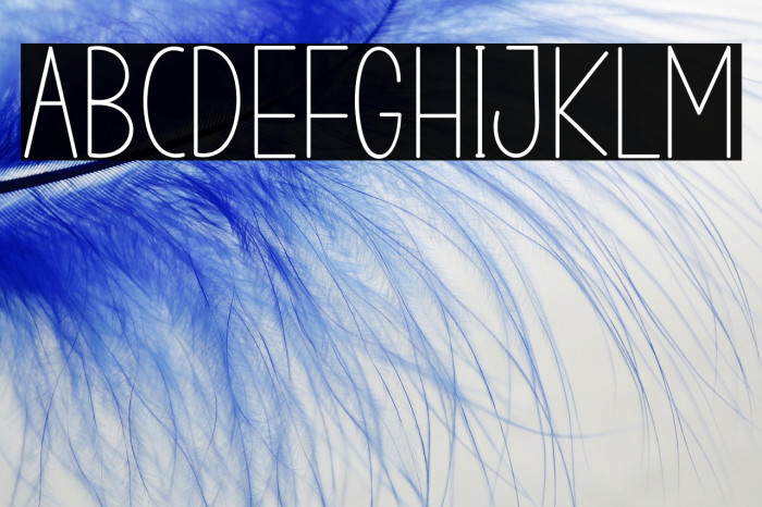 STAYHOMERegular Example 2