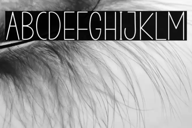 STAYHOMERegular Font examples