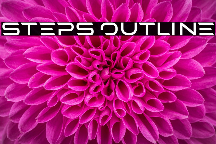 STEPS Outline Example 1