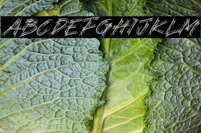 STEREO VILLE Example 2