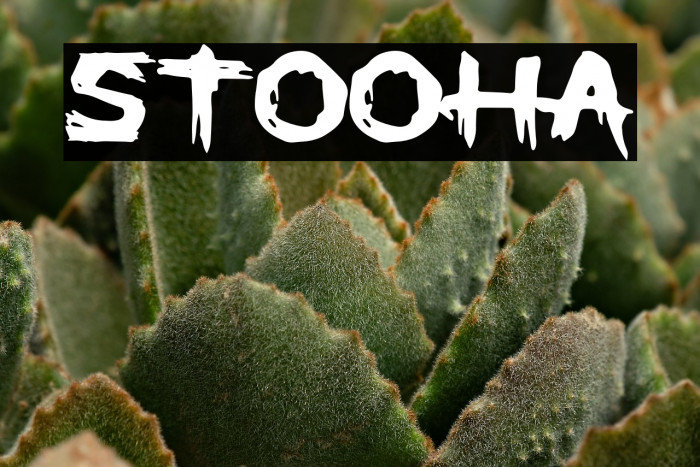 STOOHA Example 2