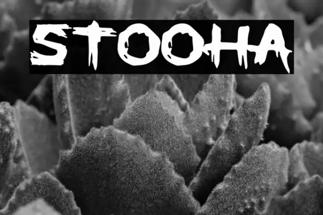 STOOHA Font examples