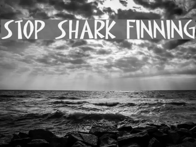 STOP SHARK FINNING Font examples