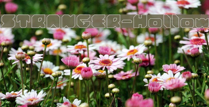 STRANGER-Hollow Font examples