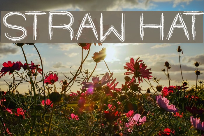 STRAW HAT Font examples