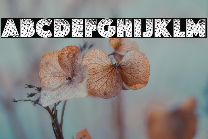 STRAWBERRYPERSONALUSE-Bold Example 3