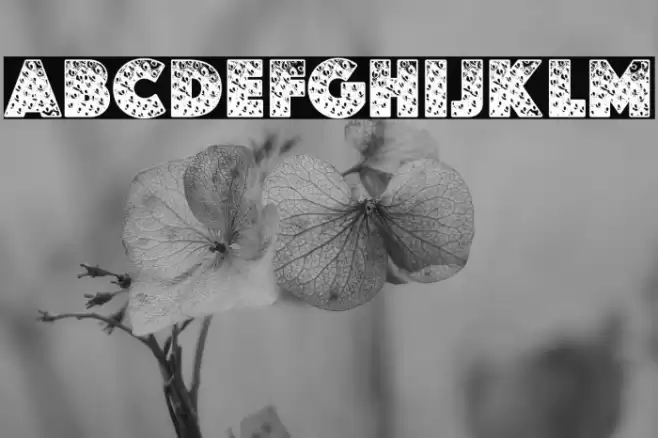 STRAWBERRYPERSONALUSE-Bold Fuentes examples