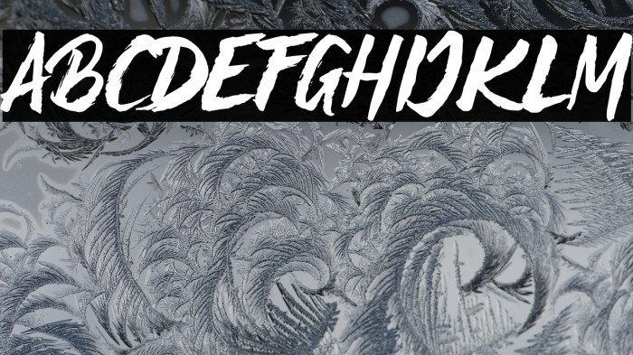 STREAKERFREAKERPERSONALUSEONLY Example 3