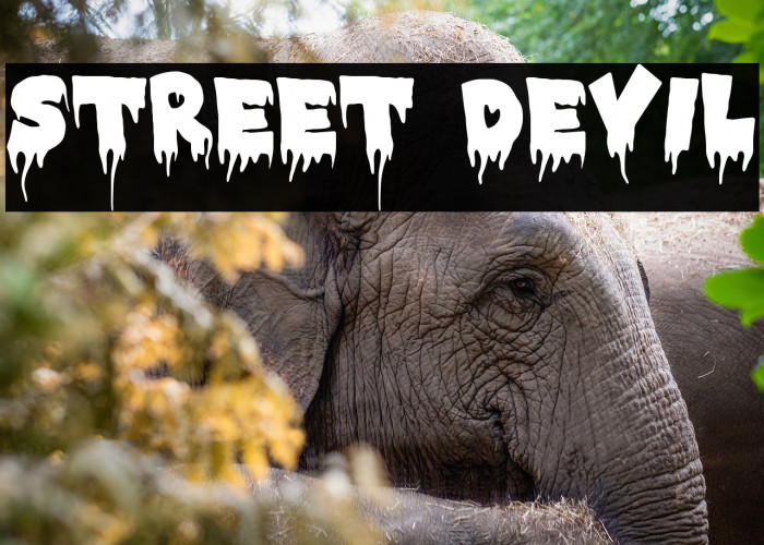 STREET DEVIL Example 2