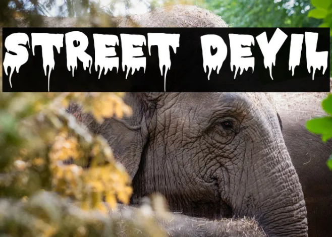 STREET DEVIL Example 2