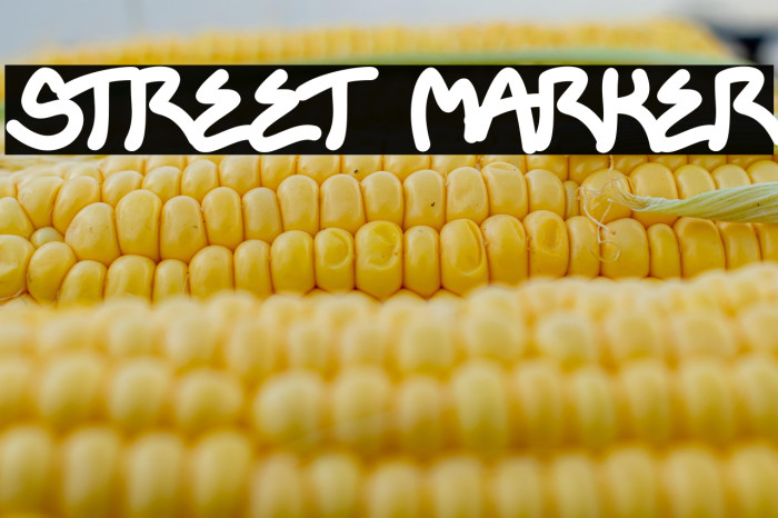 STREET MARKER Example 2