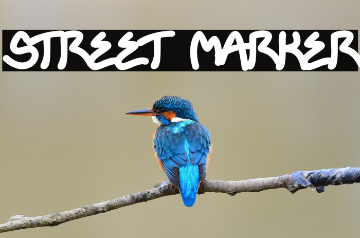 STREET MARKER Example 3