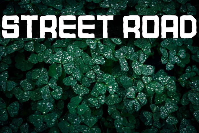 STREET ROAD Example 3