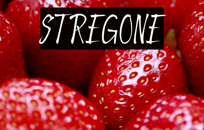STREGONE Example 1