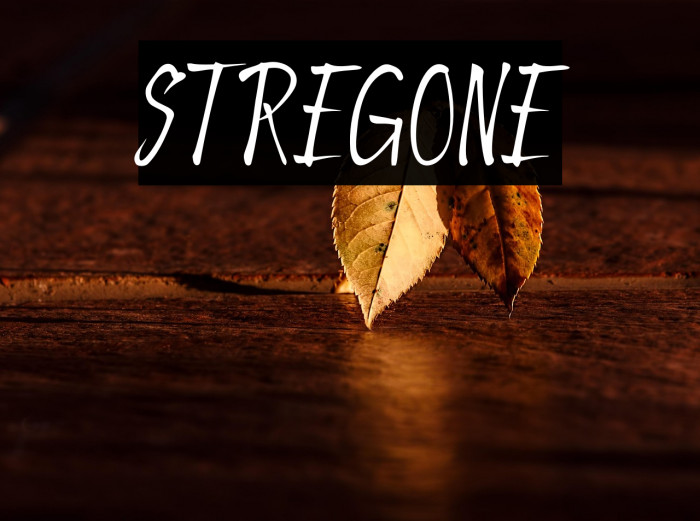 STREGONE Example 2