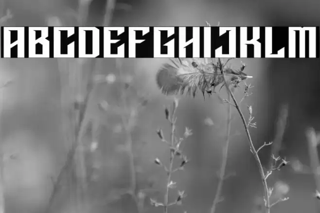 STRIGER Font examples