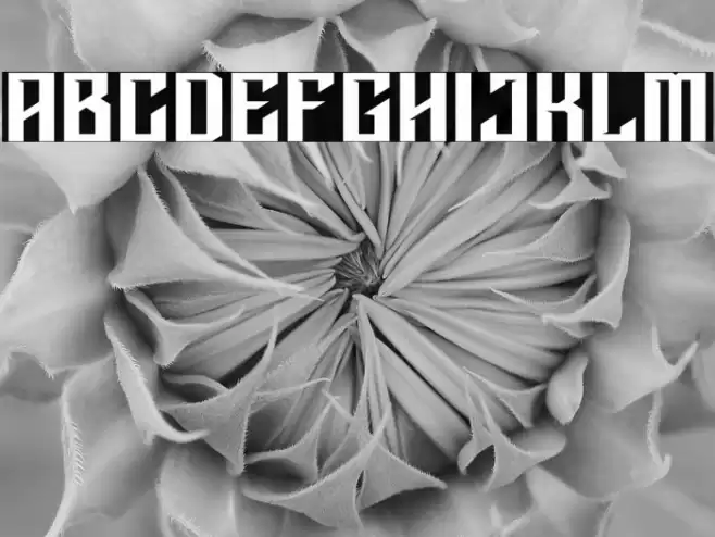 STRIGER Font examples