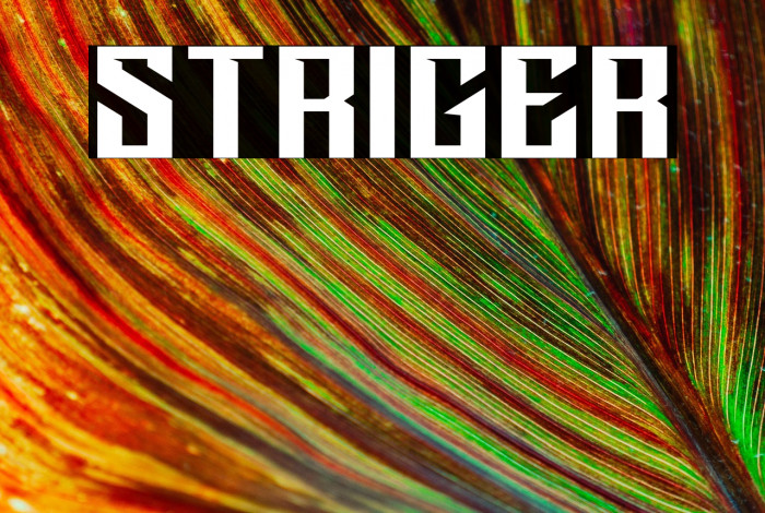 STRIGER Example 1