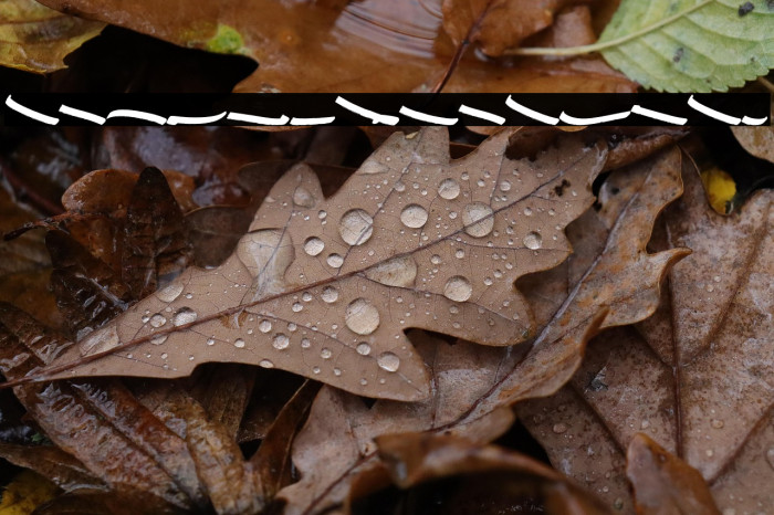 STRIKEOUTSWASH Example 2