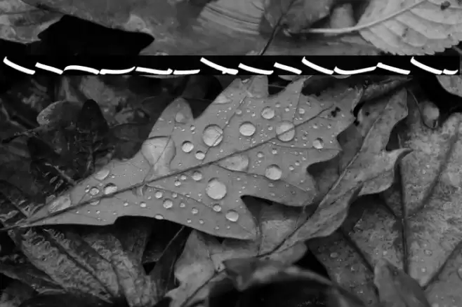 STRIKEOUTSWASH Font examples