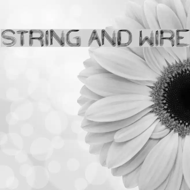 STRING AND WIRE Font examples