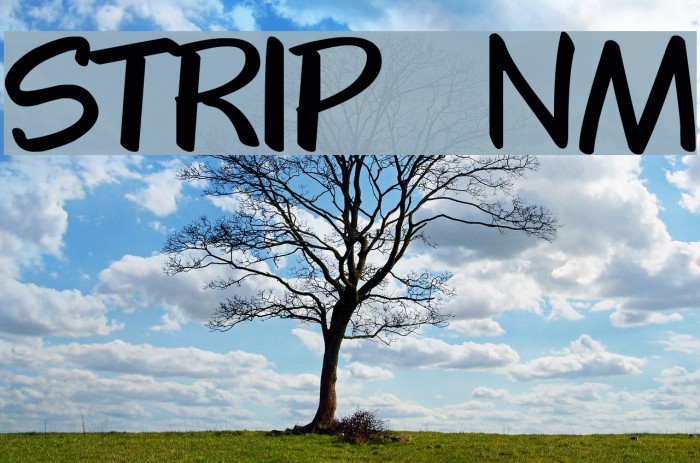 STRIP_NM Font examples