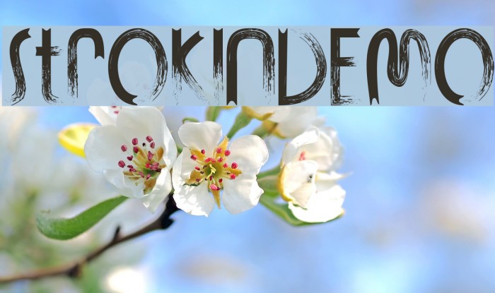 STROKIN-DEMO Font examples
