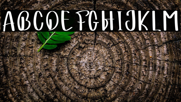 STRONG Womanas Example 3