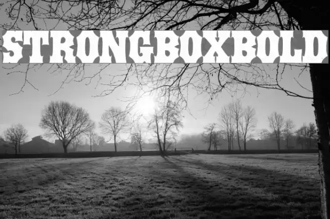 STRONGBOX-Bold Font examples
