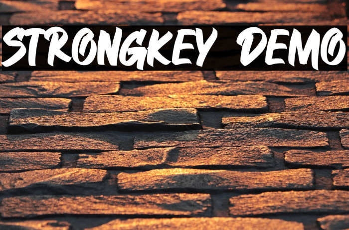 STRONGKEY DEMO Example 1