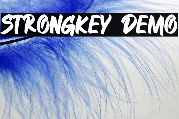 STRONGKEY DEMO Example 2